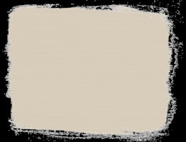 Canvas 120 ml Annie Sloan Chalk Paint