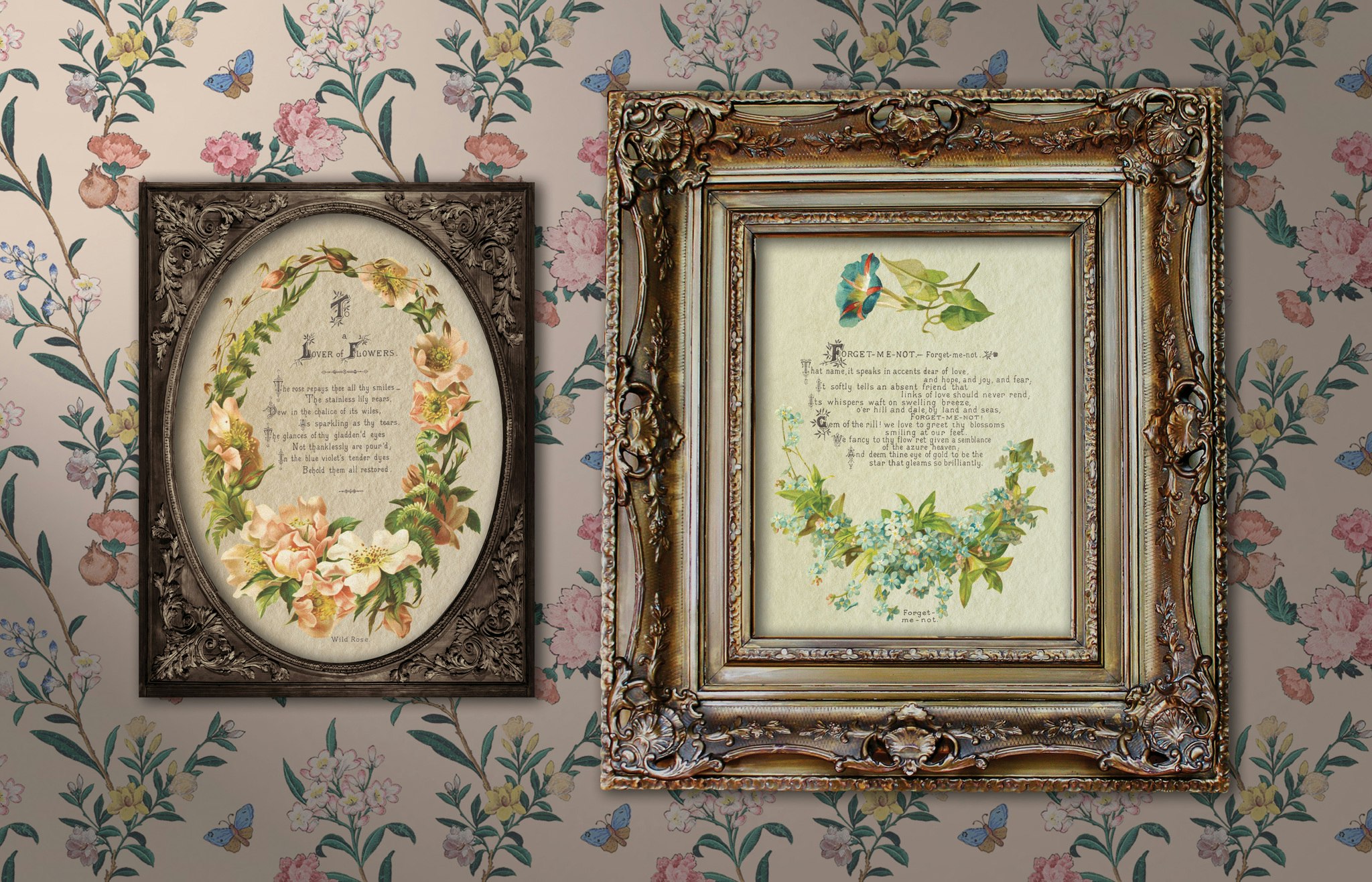 IOD Transfer Lover of Flowers