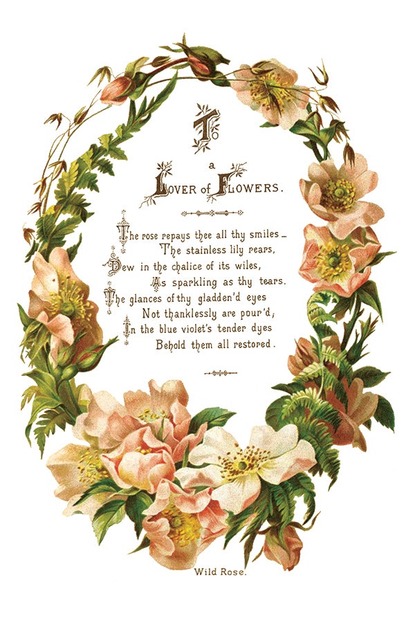 IOD Transfer Lover of Flowers