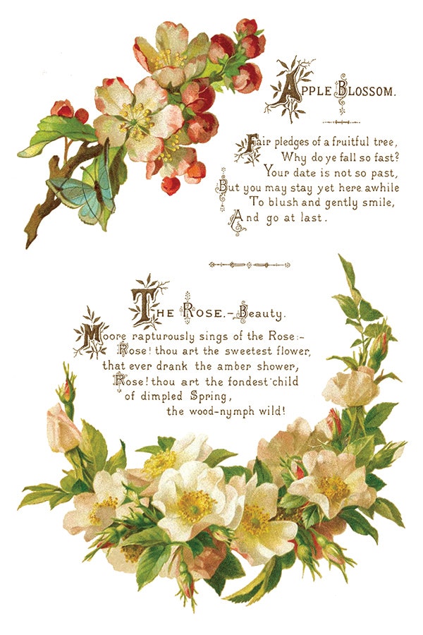 IOD Transfer Lover of Flowers