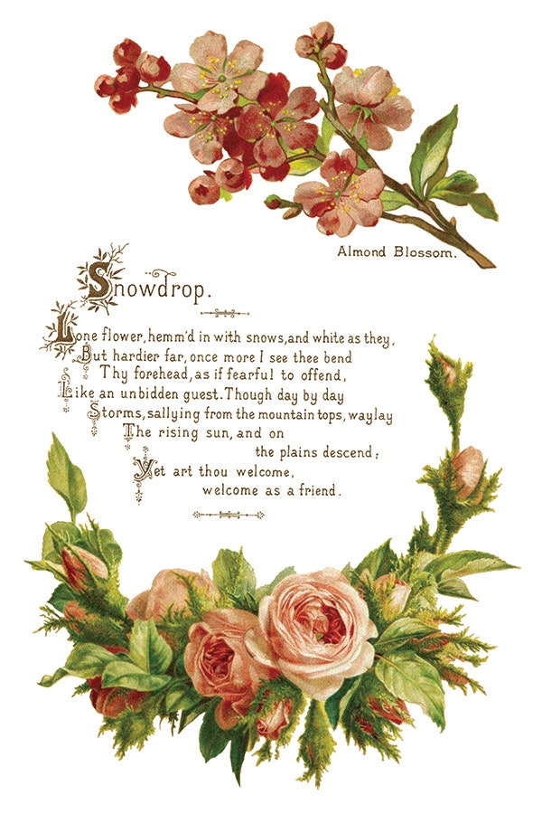 IOD Transfer Lover of Flowers