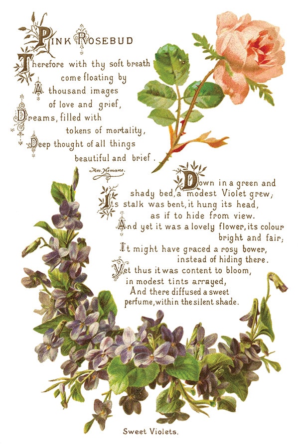 IOD Transfer Lover of Flowers