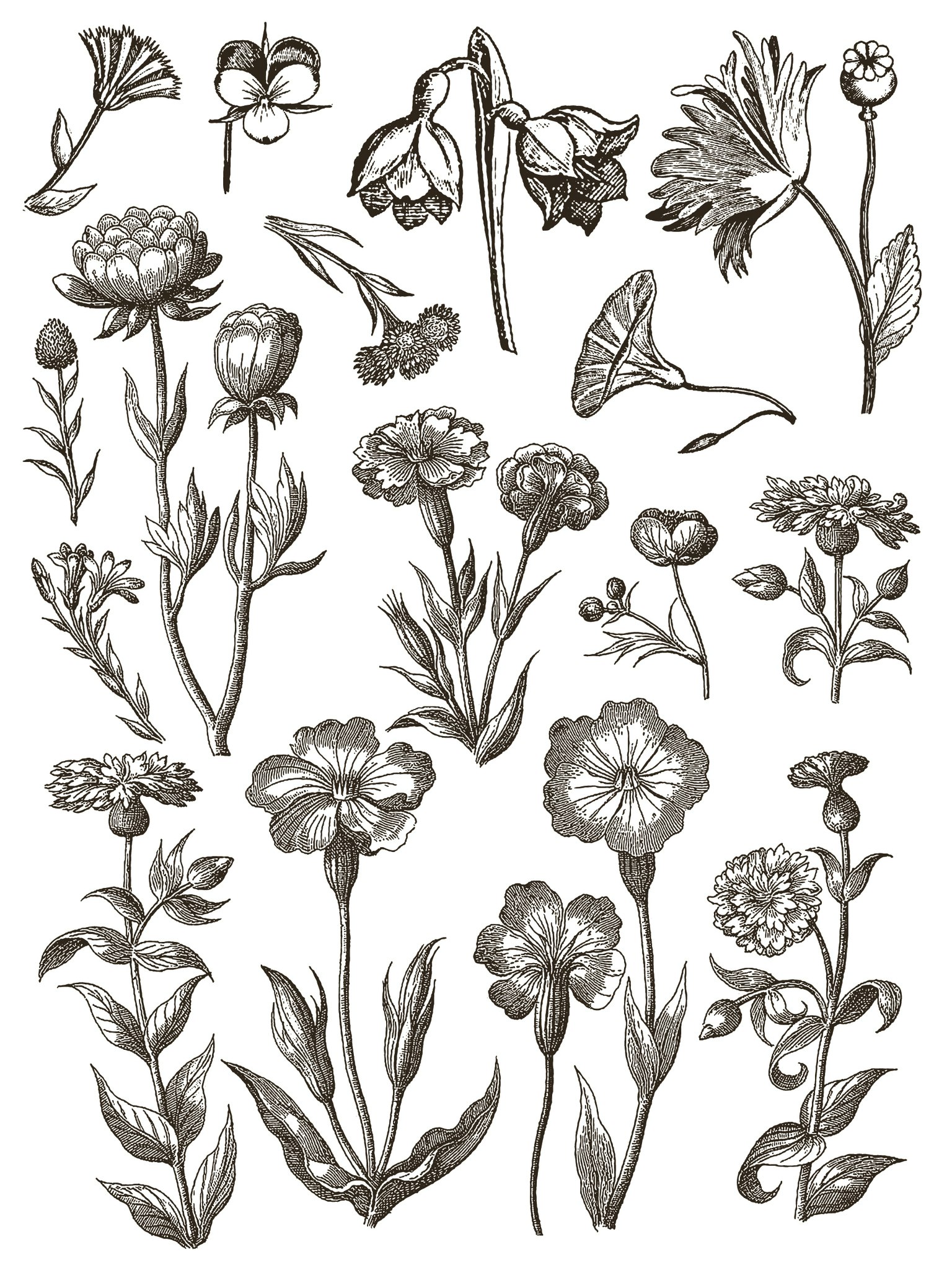 IOD Paint Inlay Floriography