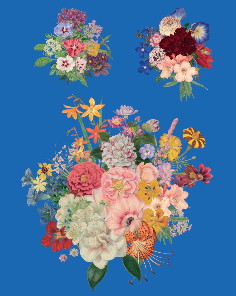 Annie Sloan Decoupagepapper Floribunda närbild