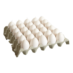 Äggljus