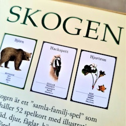 Kortspel Skogen