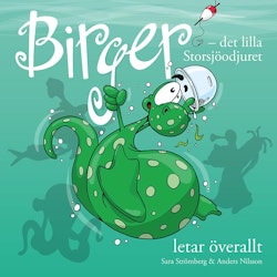 Birger - Letar överallt