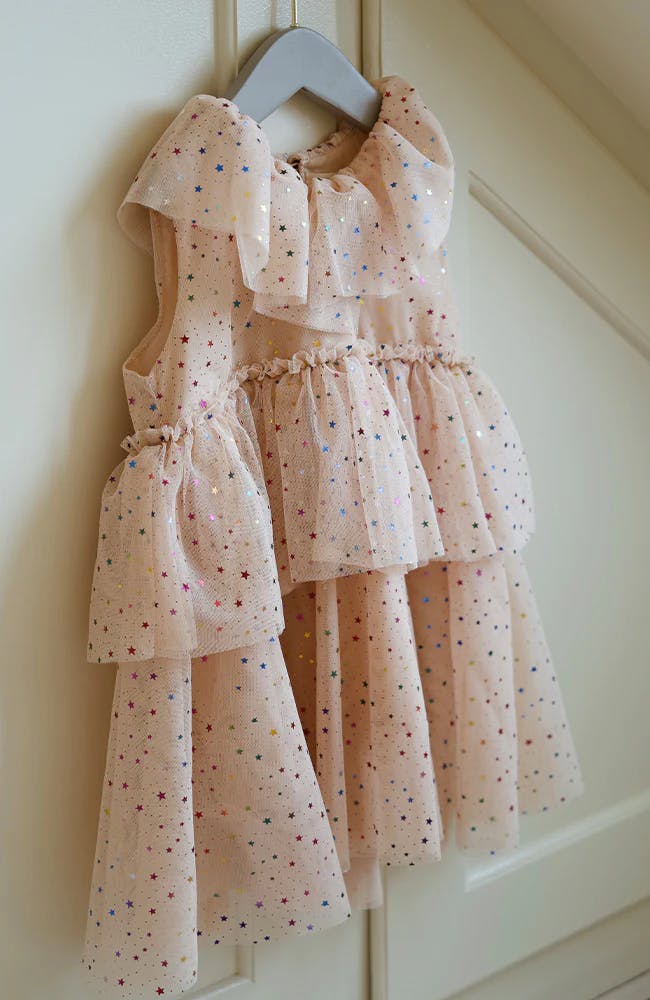 Fairy Dress - Etoile Multi Rose