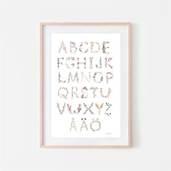 Poster Alfabet - Mushie