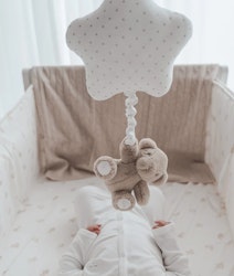 Teddy Tay Musical Toy - Livly