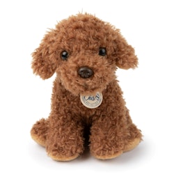 Labdradoodle hund