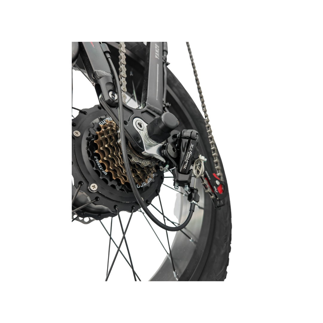 DAYLYRIDE Lion 1000W 48V 17AH Fat Tire Fällbar