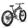 Randride YX26 1000W Fat Tire Foldable