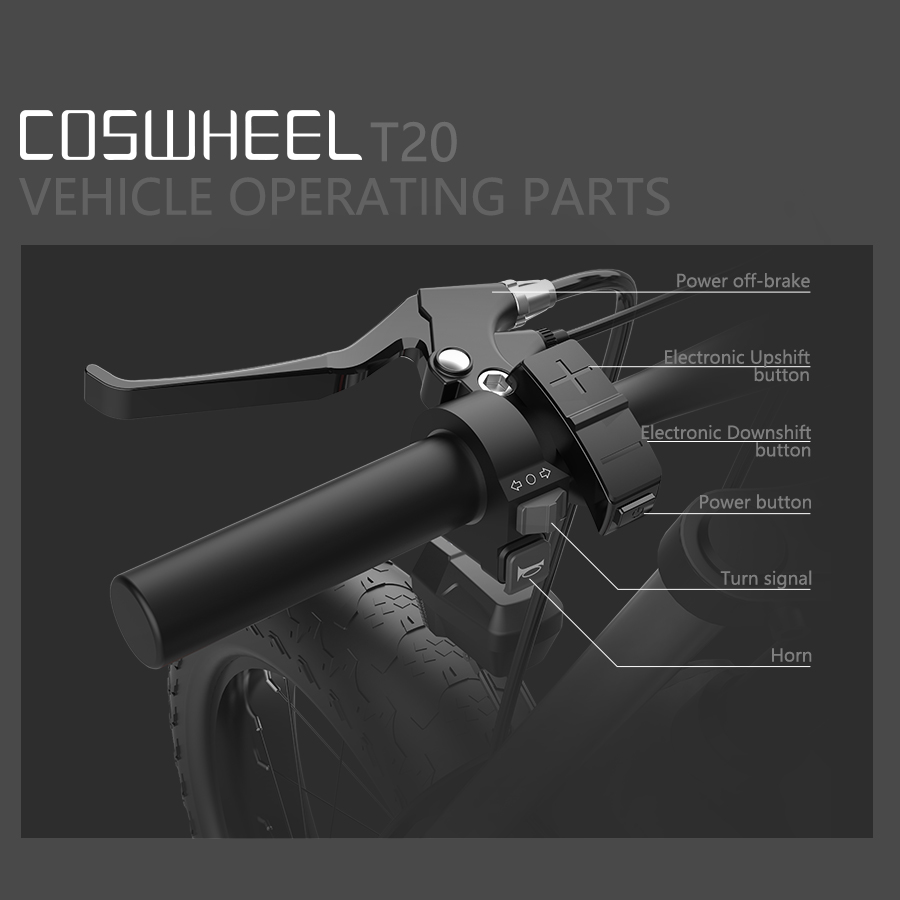 COSWHEEL T20 500W 48V 20AH