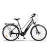 Accolmile Antelope City Bike