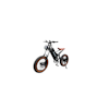 Youken D-Future 1000W 23AH Fatbike