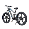 Randride YX90 1000W 48V 15AH Fat Tire Magnesium Fälgar