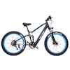 DAYLYRIDE Snow Leopard 1000W 48V 15Ah