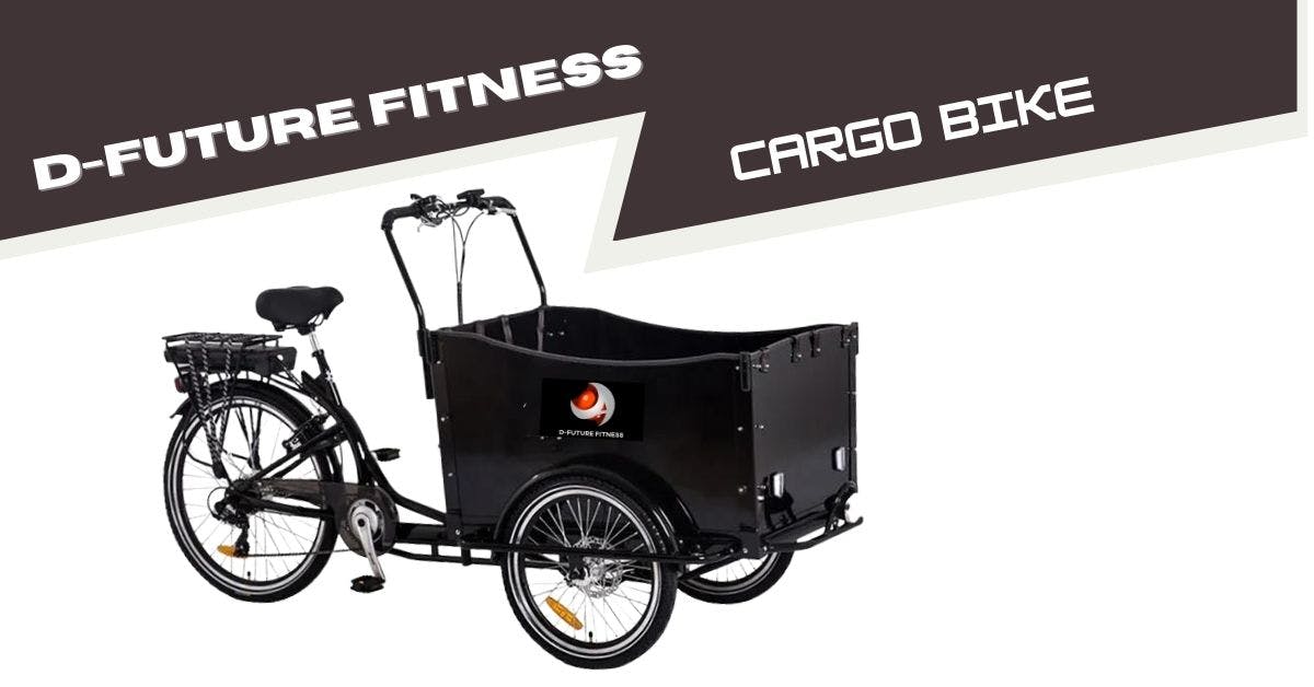 D-Future Fitness Cargo Bike 250W 12.8Ah + Solpanel Kampanj D-Future