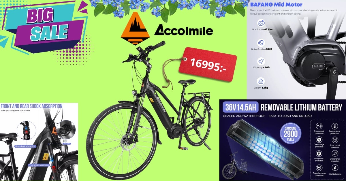 Accolmile Flamingo City Bike 250W 14.5AH