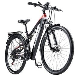 RANDRIDE YG90 1000W Black 29"