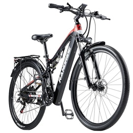 RANDRIDE YG90 1000W Black 29"