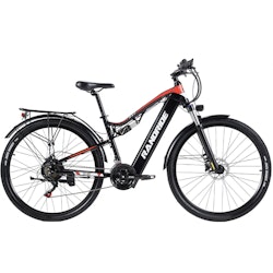RANDRIDE YG90 1000W Black 29"
