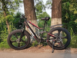 RANDRIDE EXPLORER YX90M