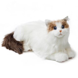 MetaCat