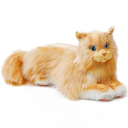 MetaCat