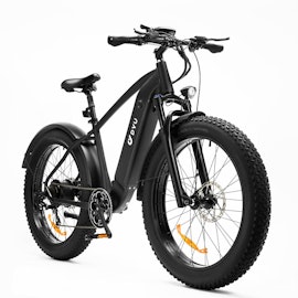 DYU KING 750W