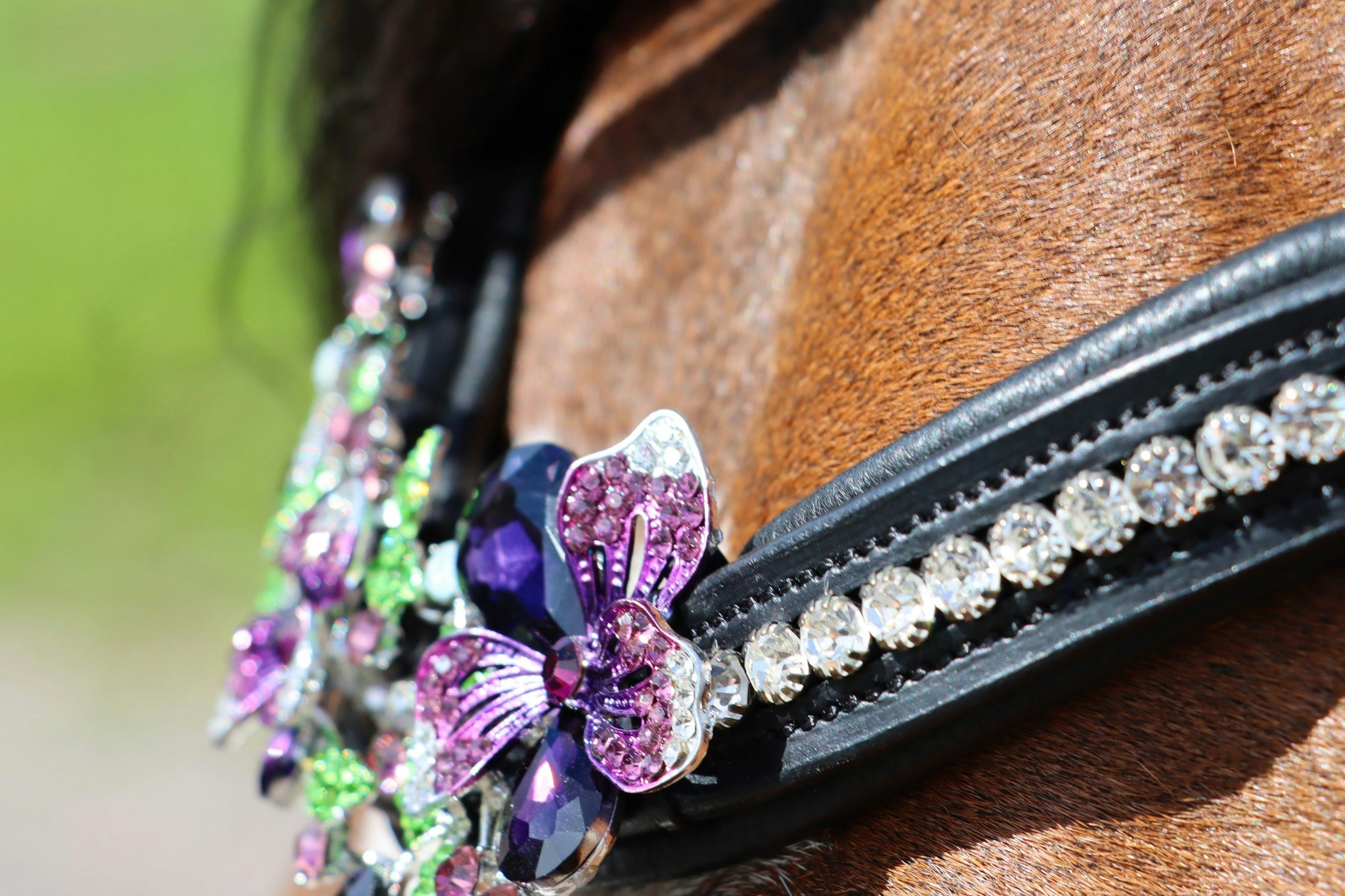 Marma Purple