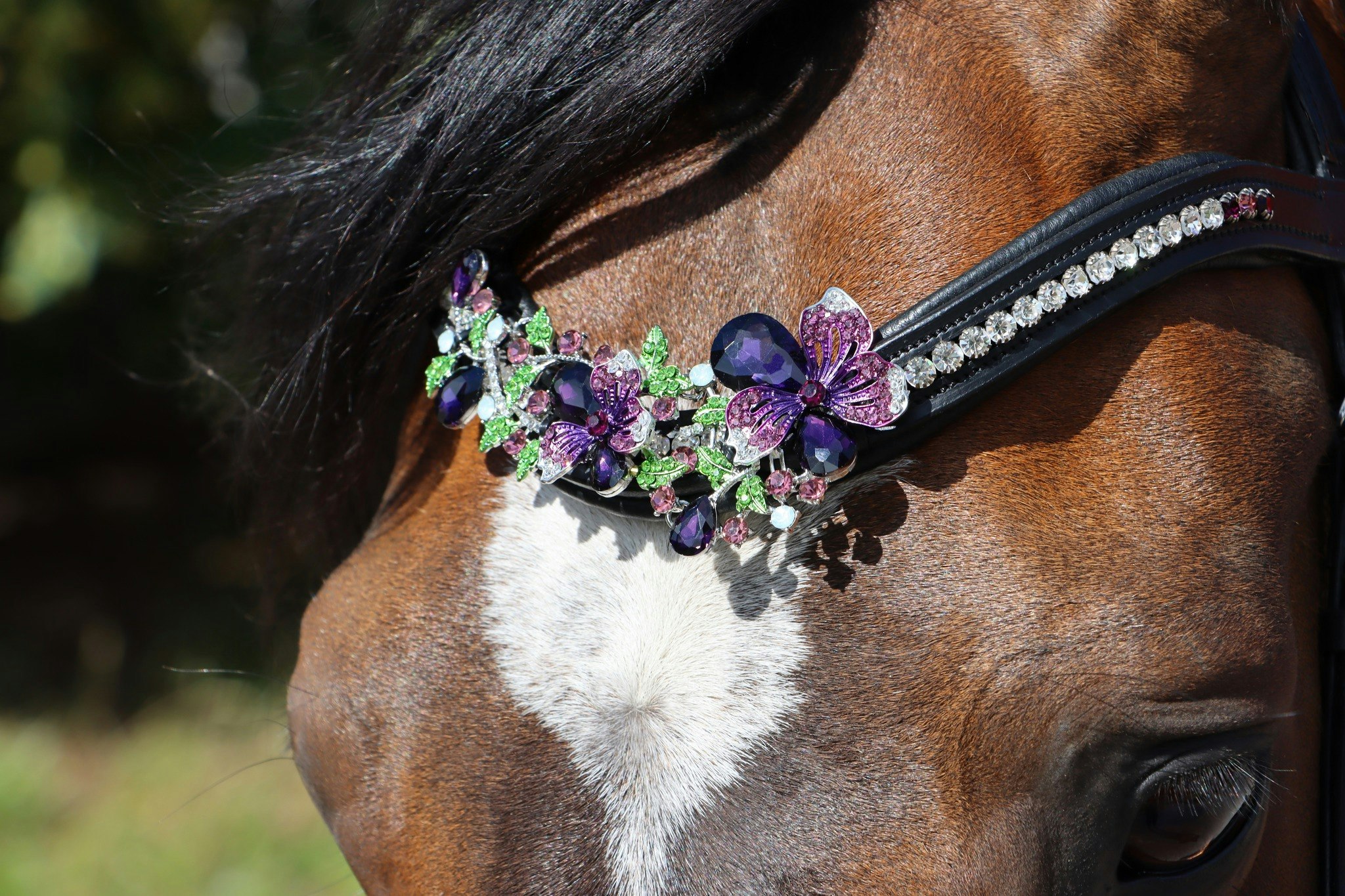 Marma Purple