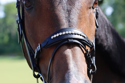 DIVOYH Aachen Silver