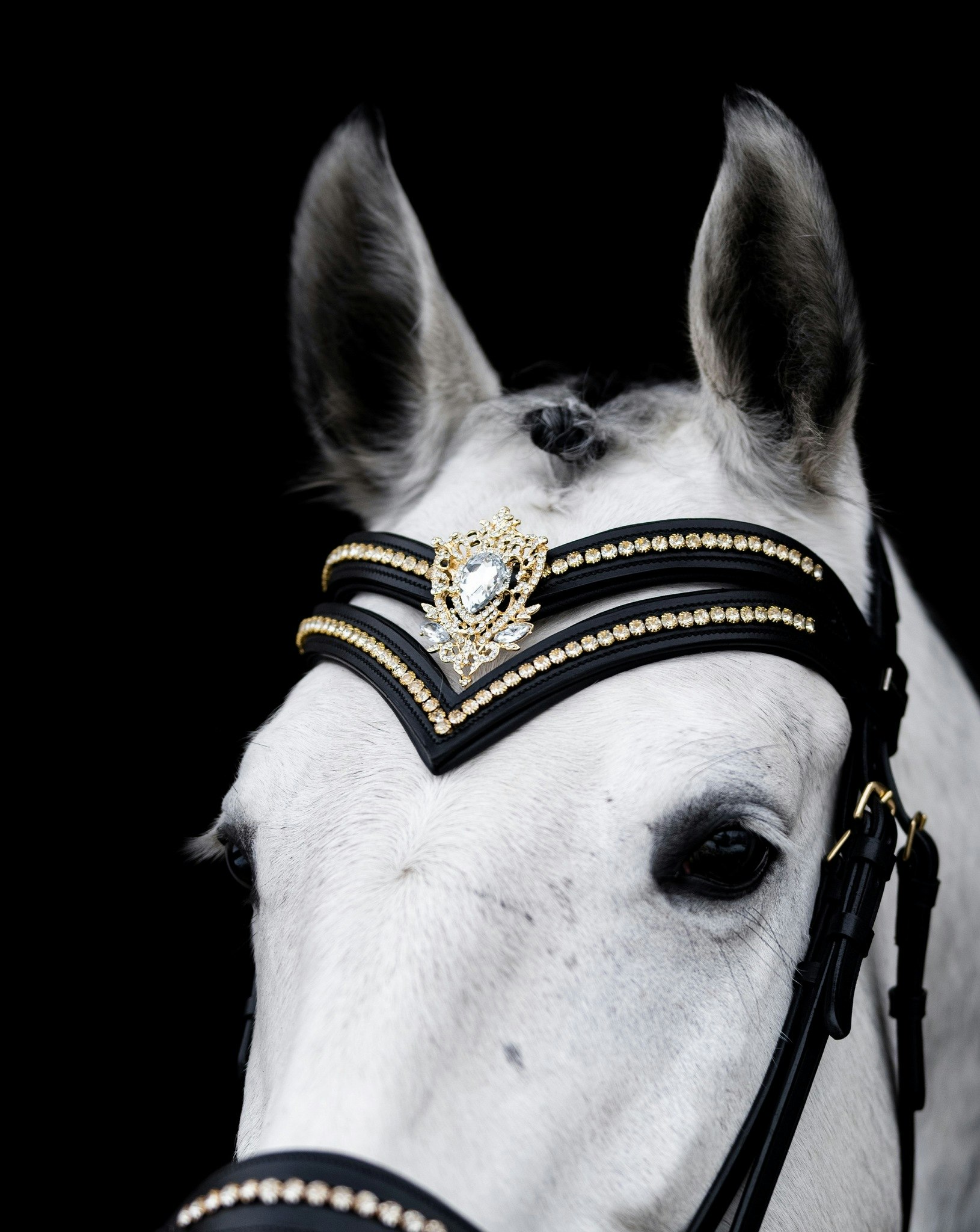 Dorotea Gold