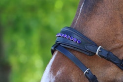 DIVOYH Aachen Blue