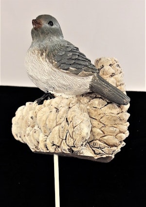 Söt fågel med kottar för dekoration