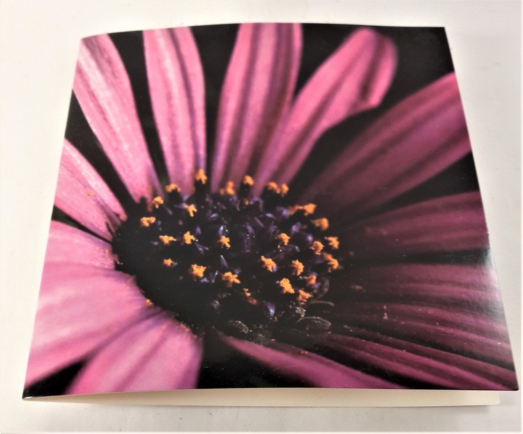 Fyrkantigt grattiskort med lila blomma, utan text