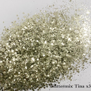 Tina x3 glittermix 15g