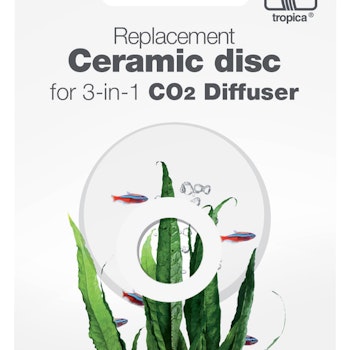 Ceramic Disc