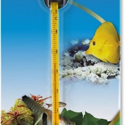 Slim Termometer 0-40 grader 15 cm