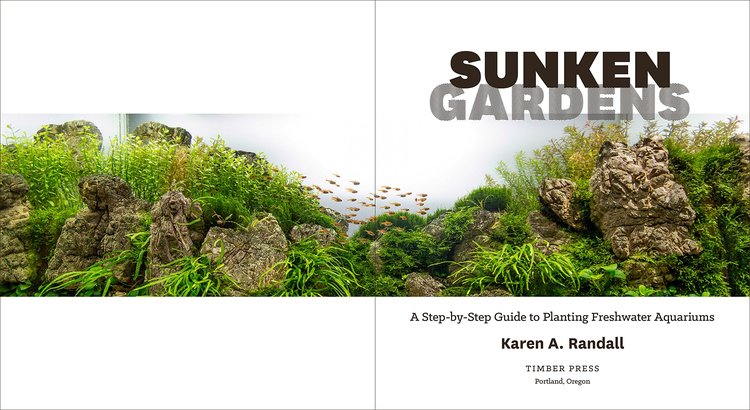 Sunken Gardens: A Step-By-Step Guide to Planting Freshwater Aquariums