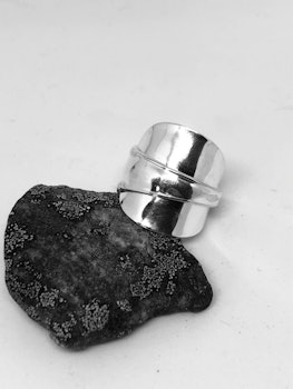 Ring 31