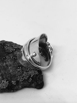 Ring 31