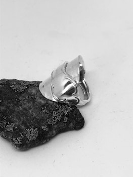 Ring 41