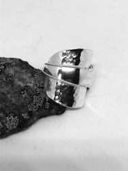 Ring 41