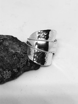 Ring 41