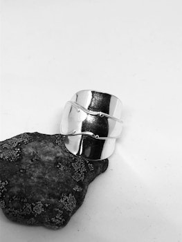 Ring 46
