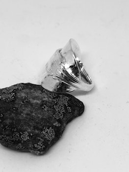 Ring 58