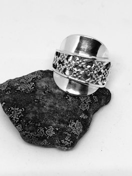 Ring 73